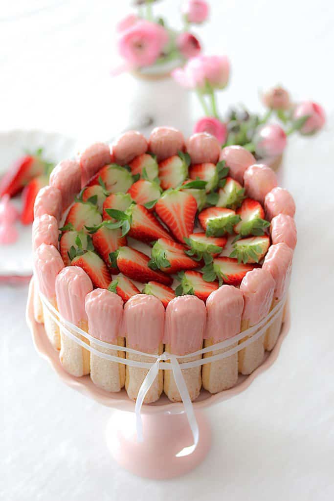Erdbeer Tiramisu Torte Charlotte