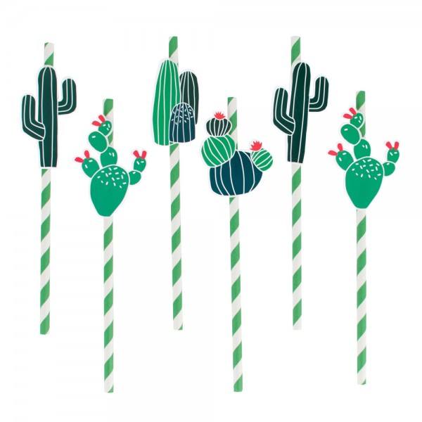 Little Strohhalme Kaktus